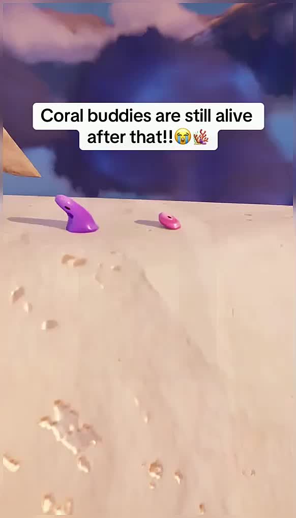 @vooxnprowxhntg