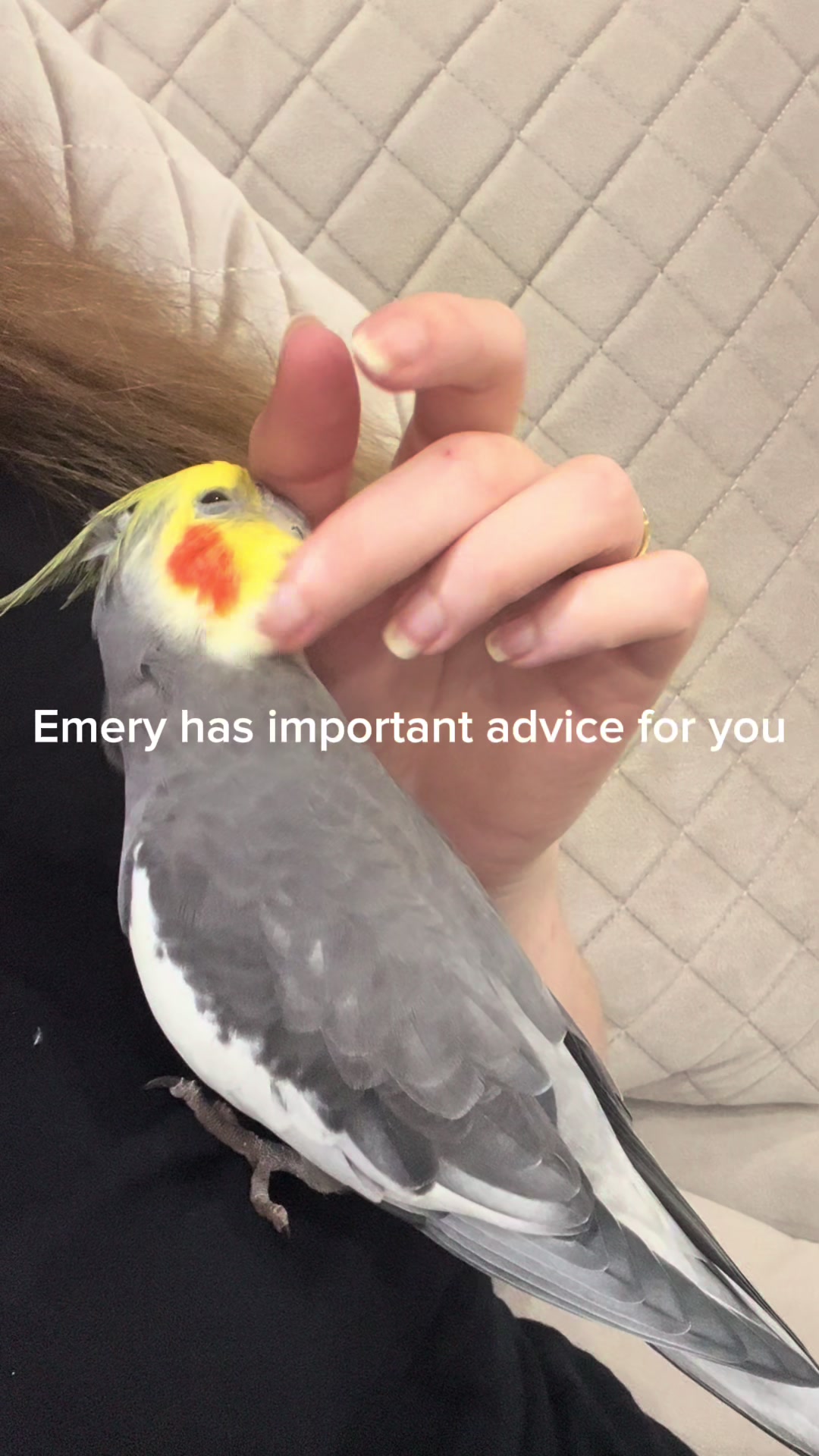 @Emery The Branch Manager