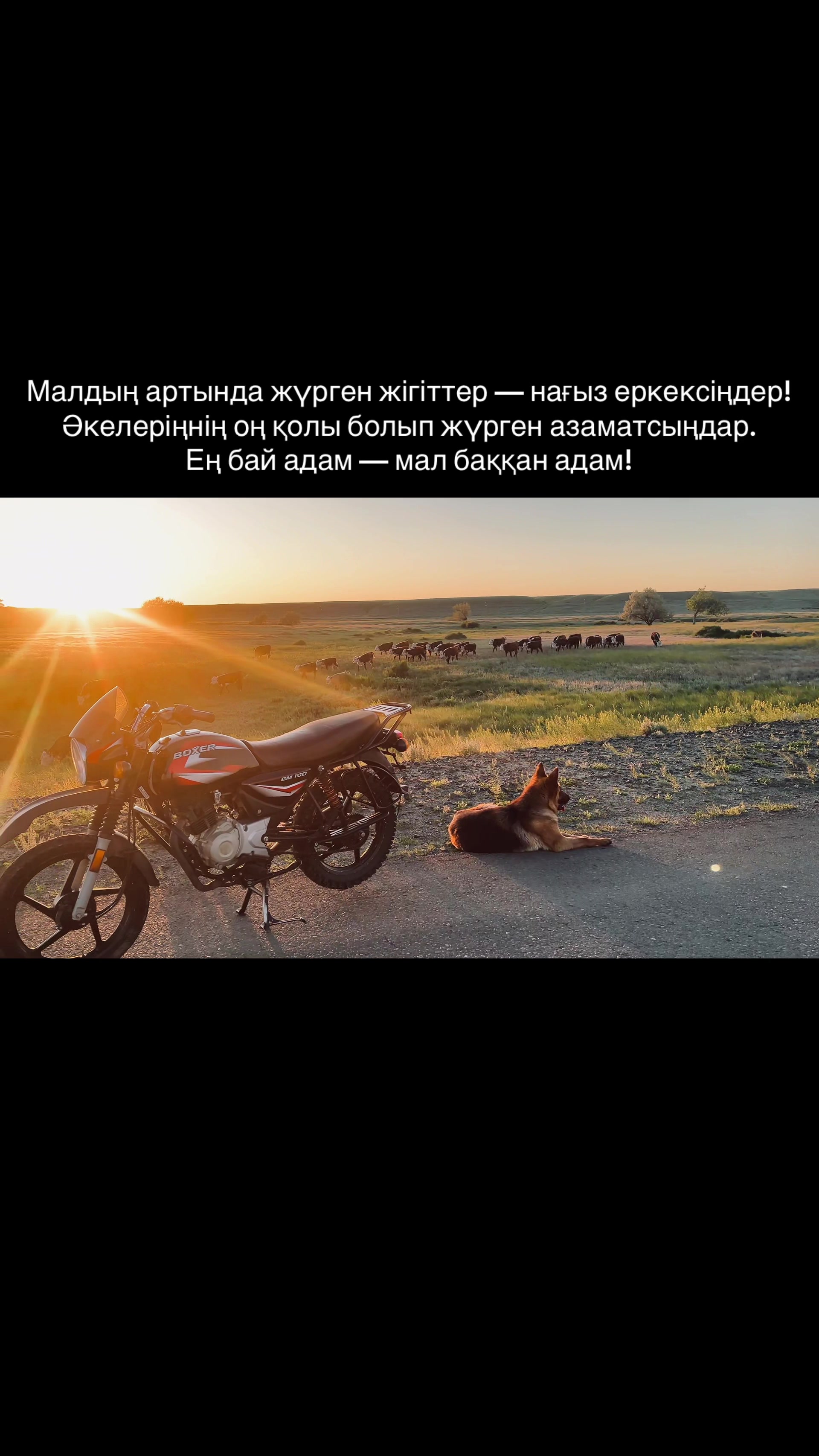 @kh.dan1yar