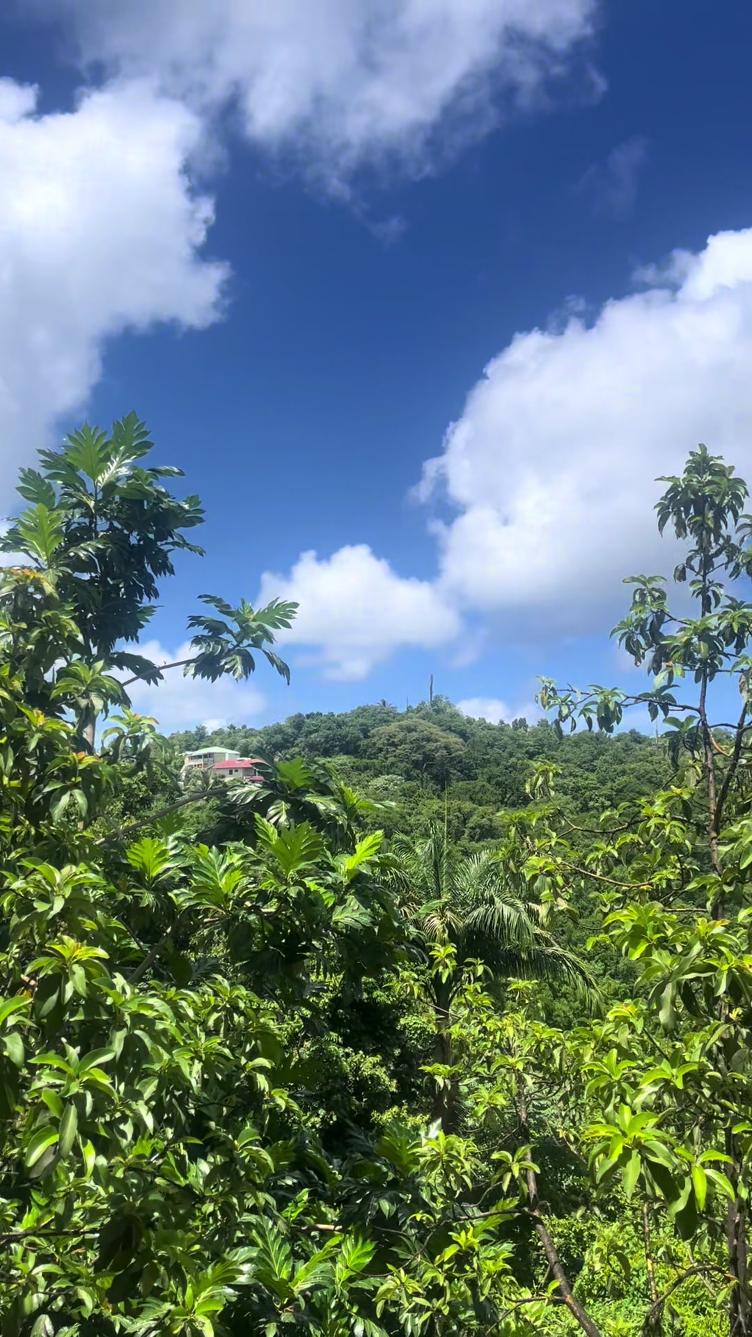 @UHPVillas