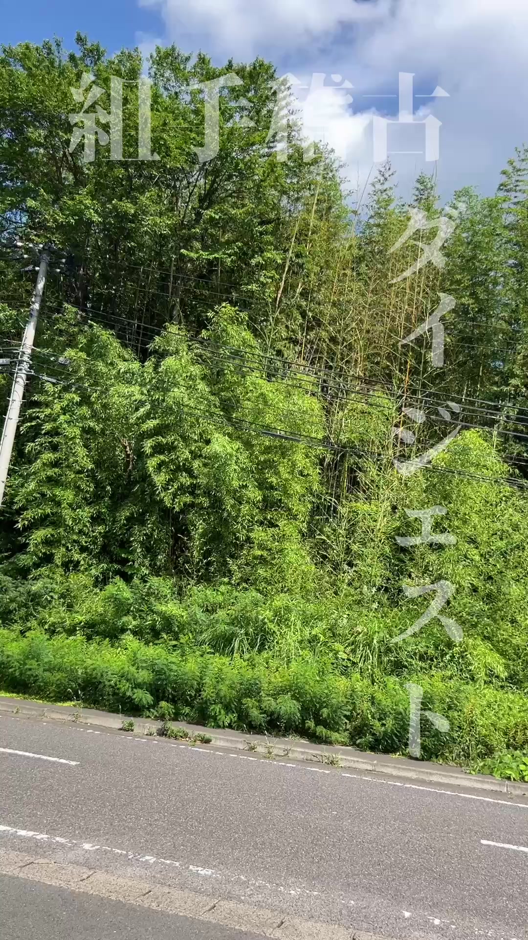 @極真空手　門馬道場