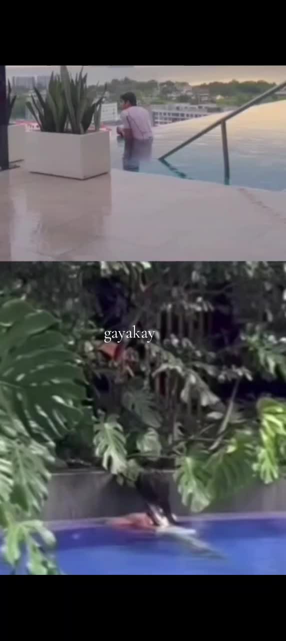@gayakay