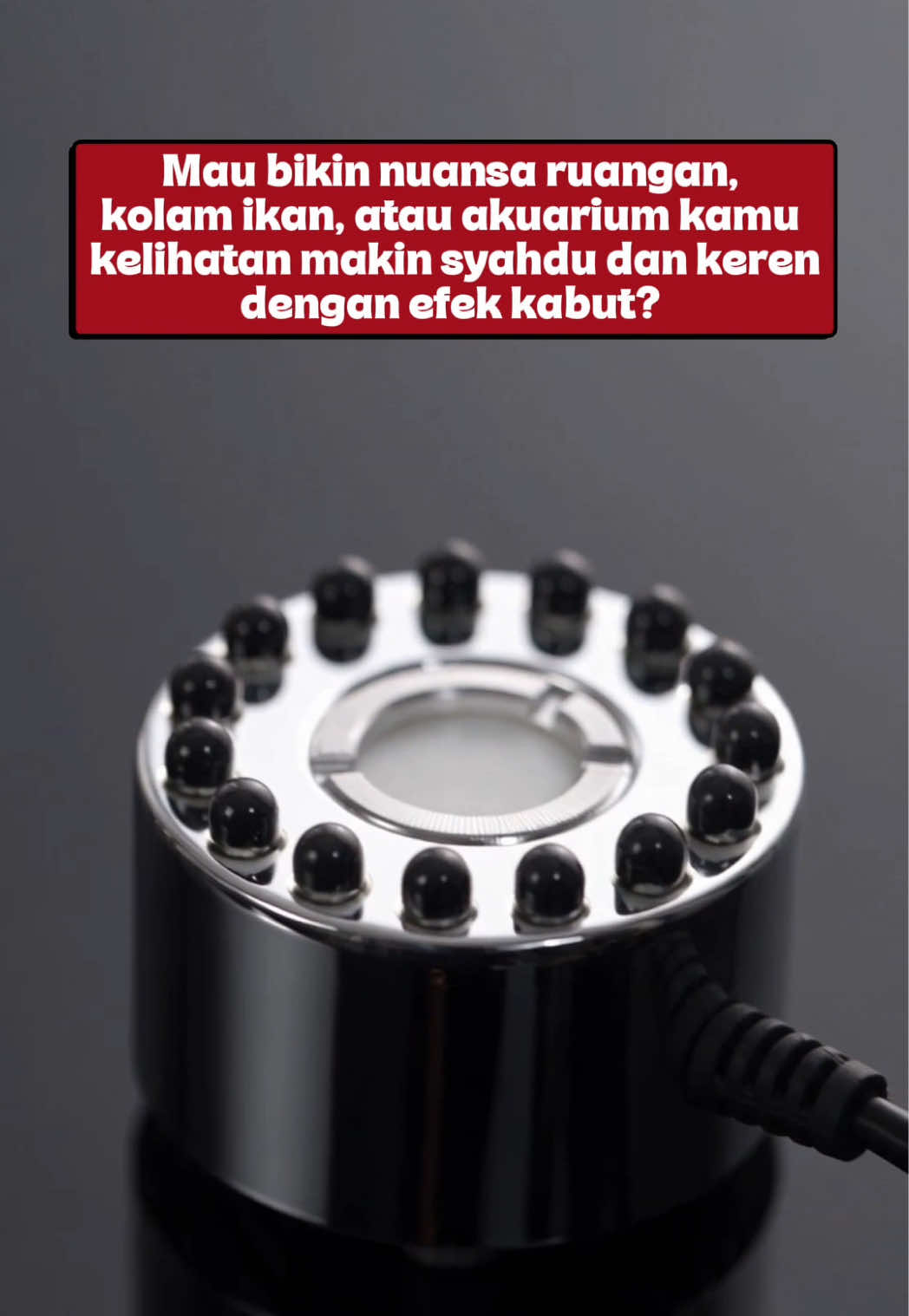 @Glodok123