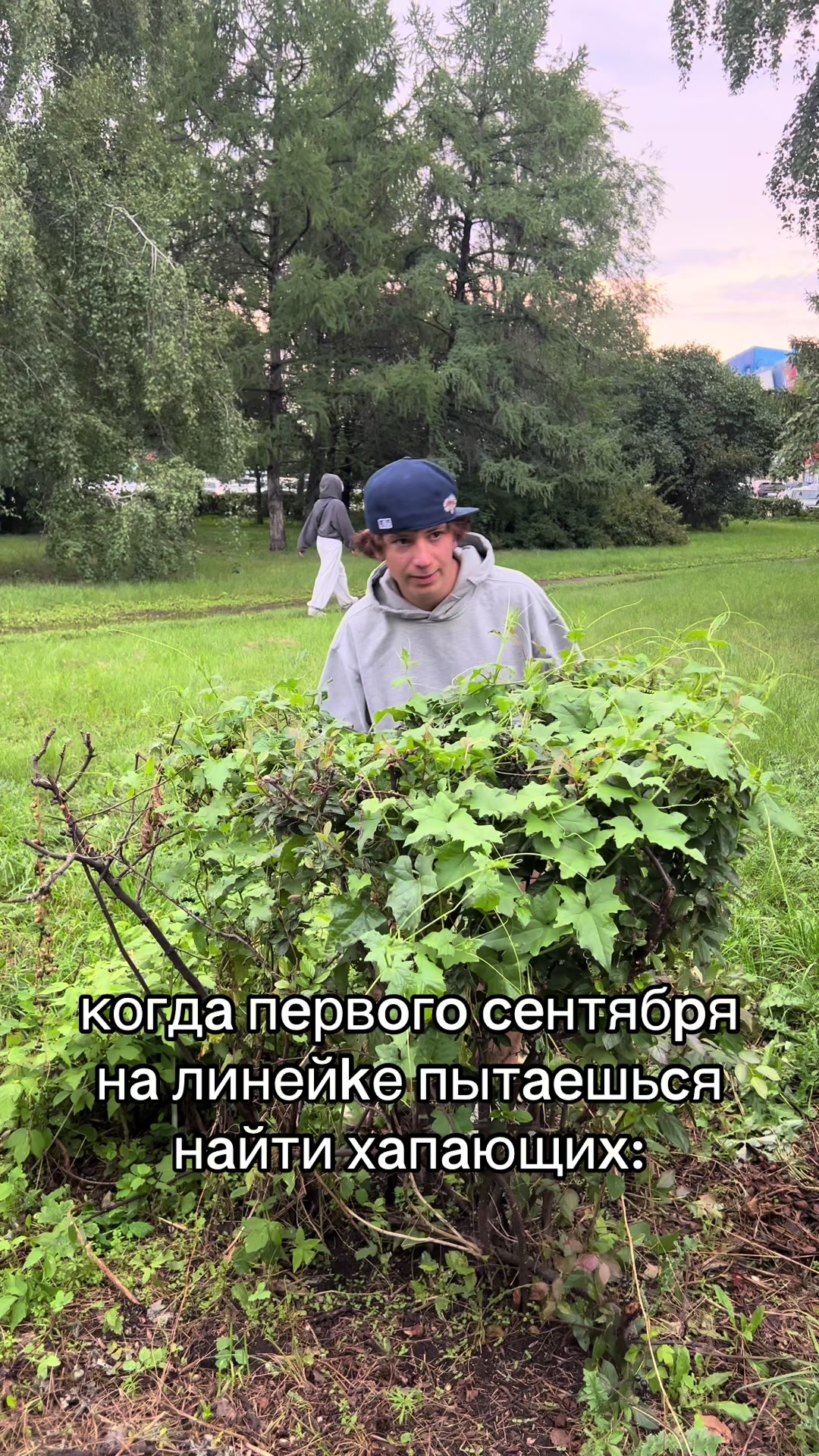 @Zahar