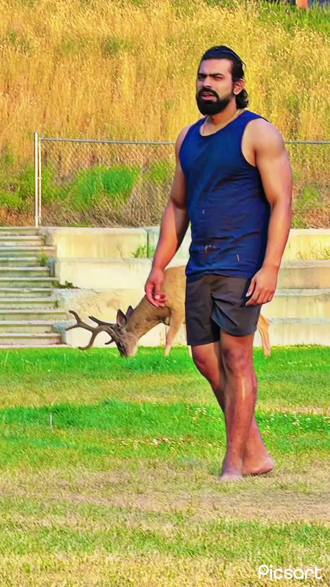 @Malik usman cheetah