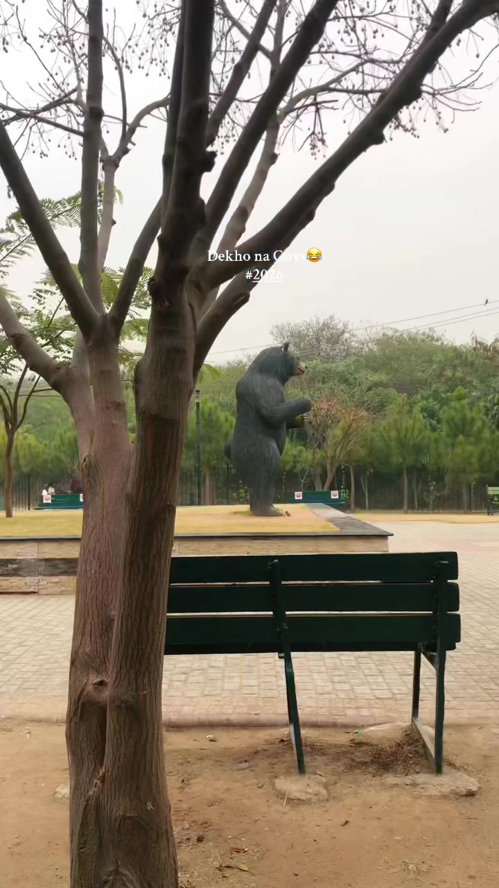 @Mehro0013