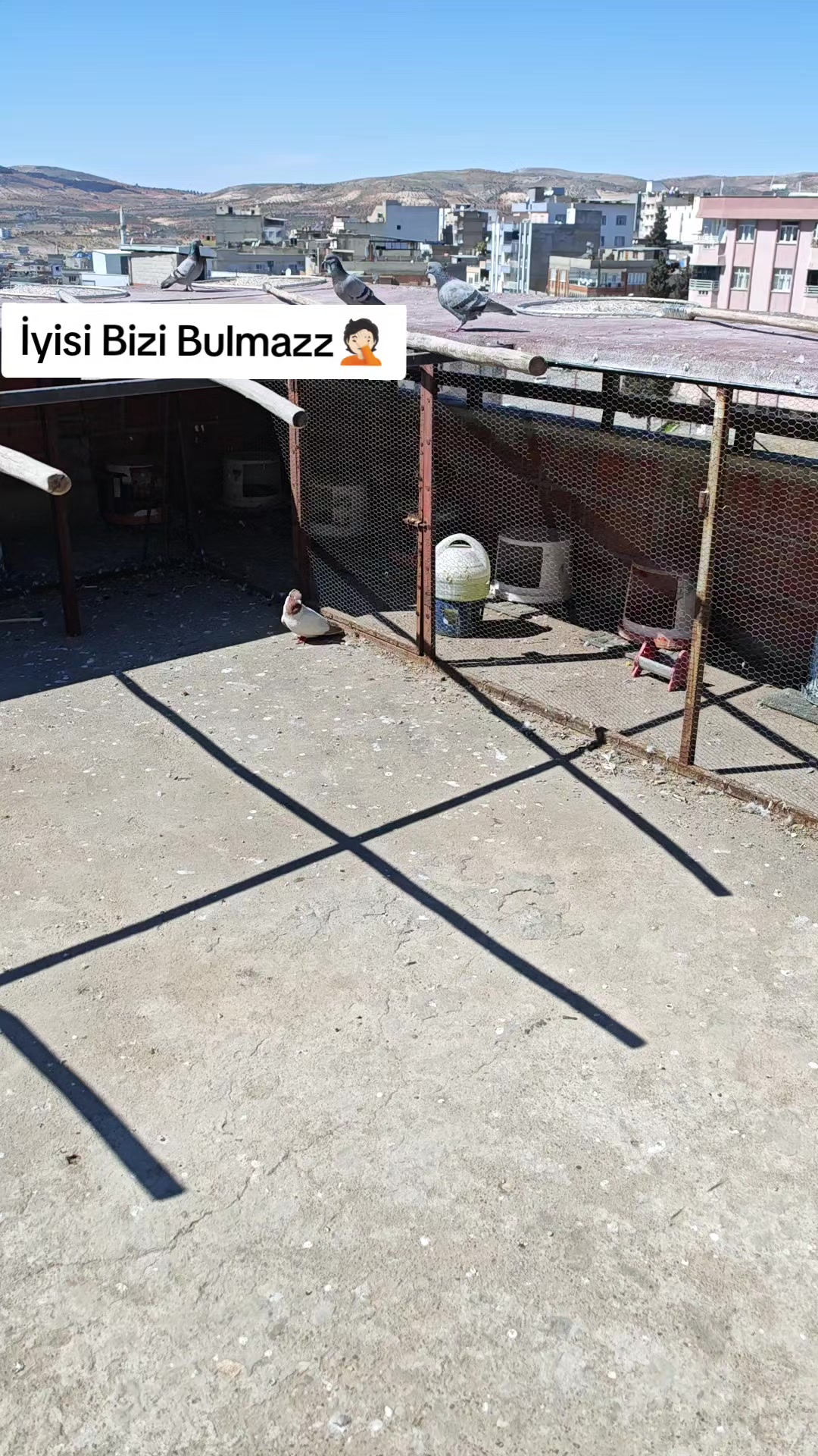 @Turqay.27