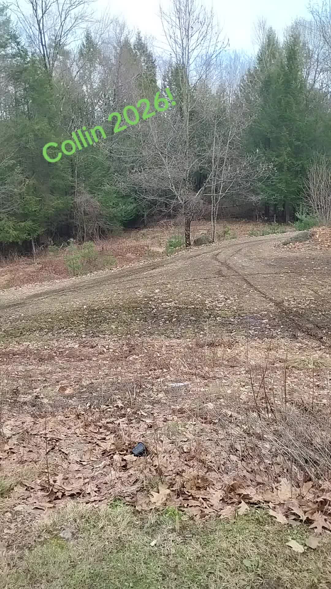 @kiplivesey