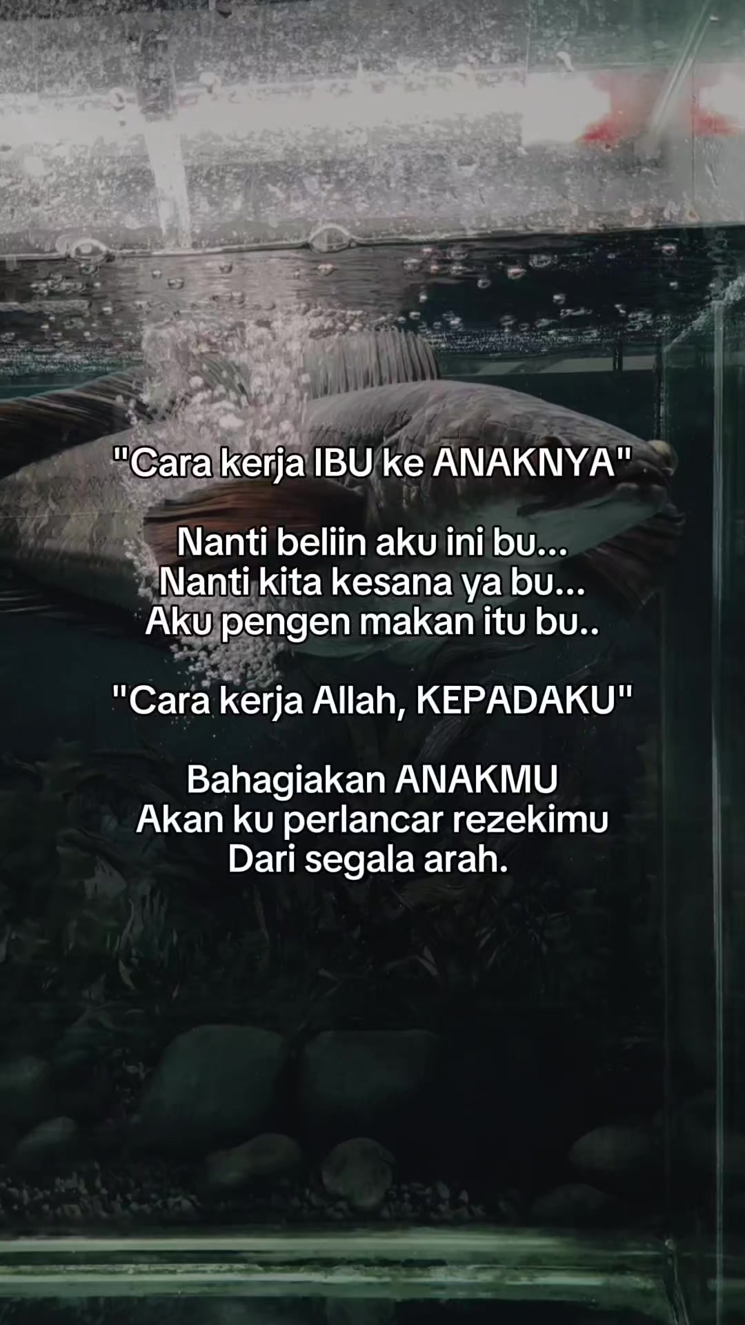 @Surya Wirasti