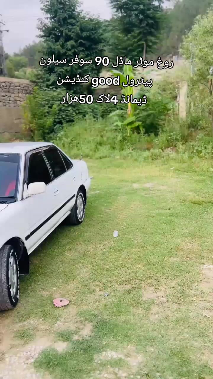 @ncpcarlover1