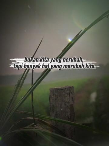 @Aziah Atan