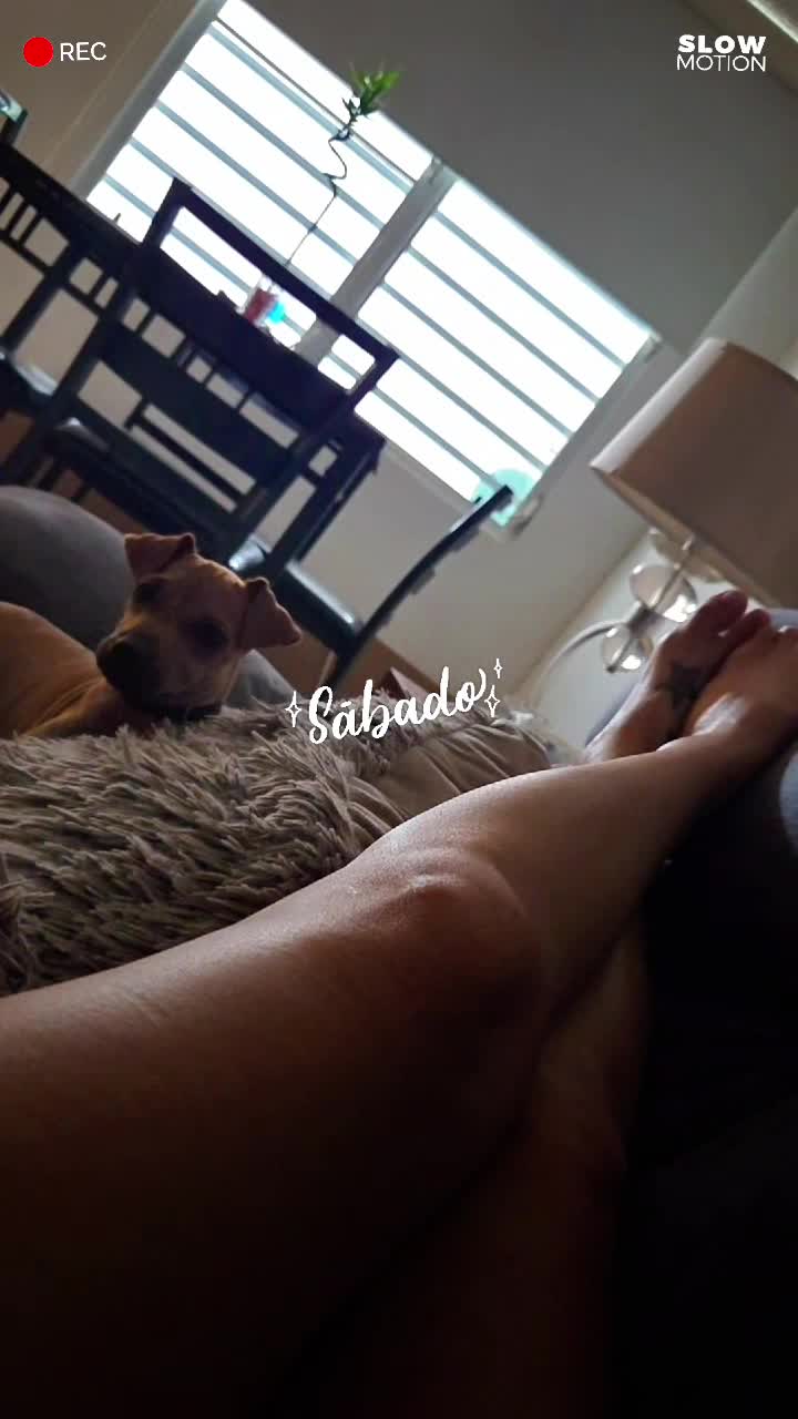 @Janet Collazo822🇵🇷 Boricua