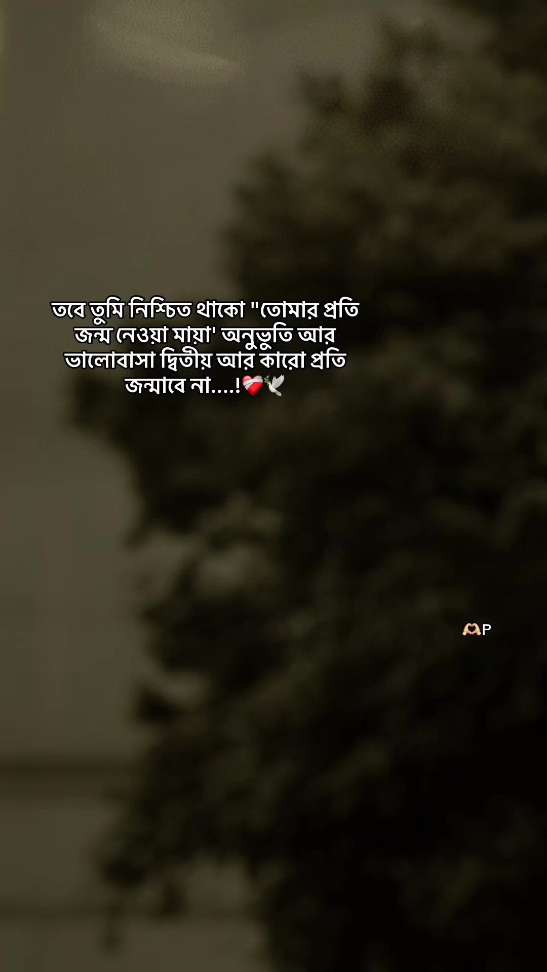 @⚡️Sheikh Rafi Islam💍