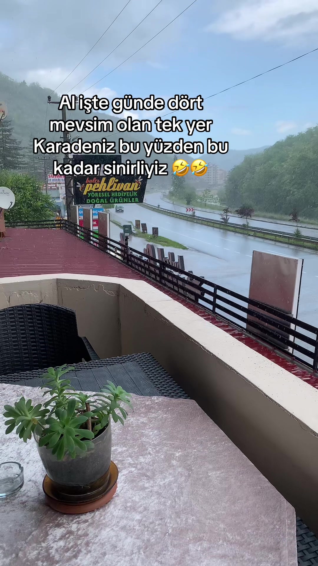 @4961sevgi