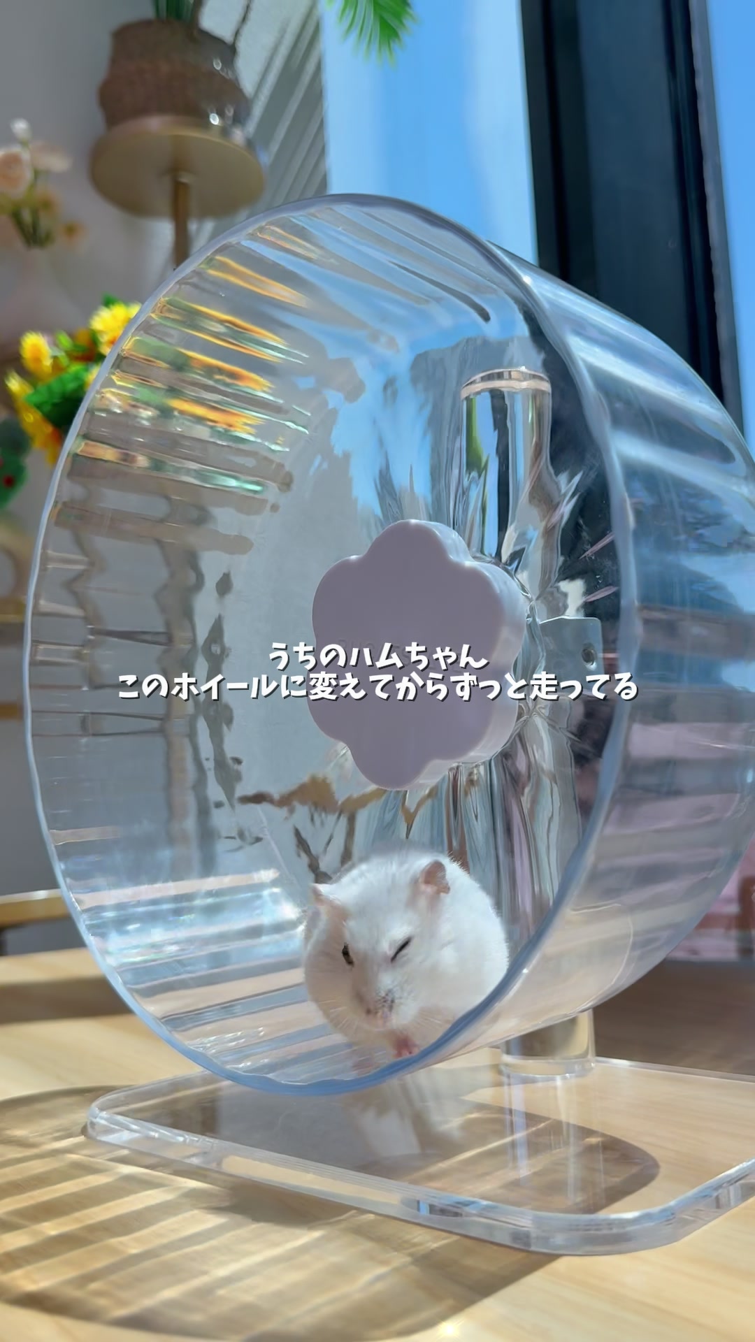 @ゆりのくらしノート