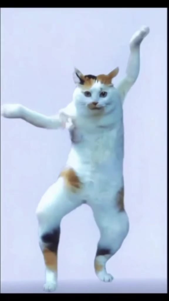 @๐ฉ๐ชุนุฒโค๏ธ ููุณูโค๏ธ ุชุตูุจูุง๐ฉ๐ช