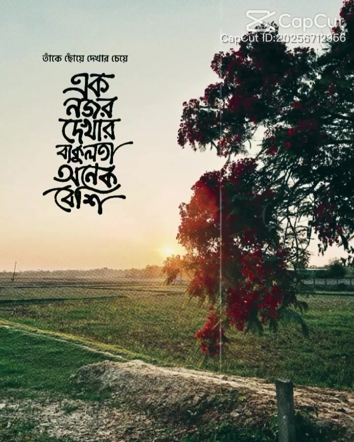 @🧚পারু🧚