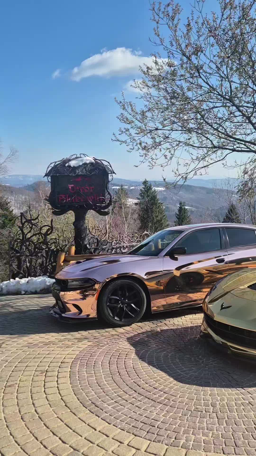 @Golden Cars