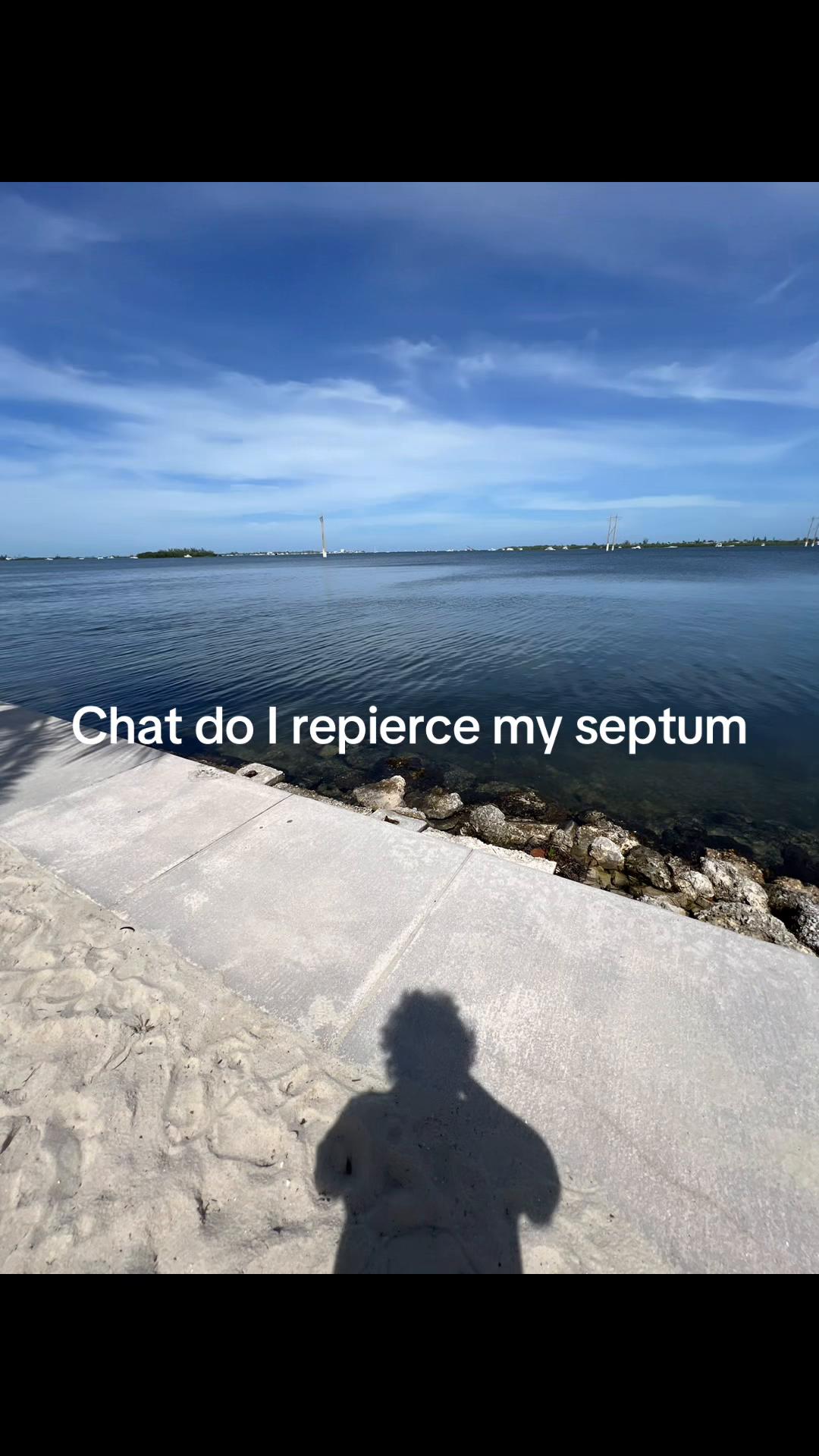 @Noelle