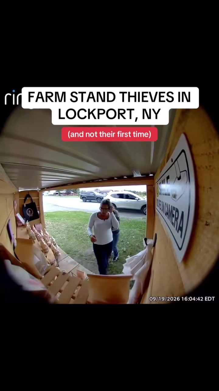 @MrTruckdriver1