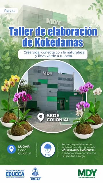@MDY Customer Experience