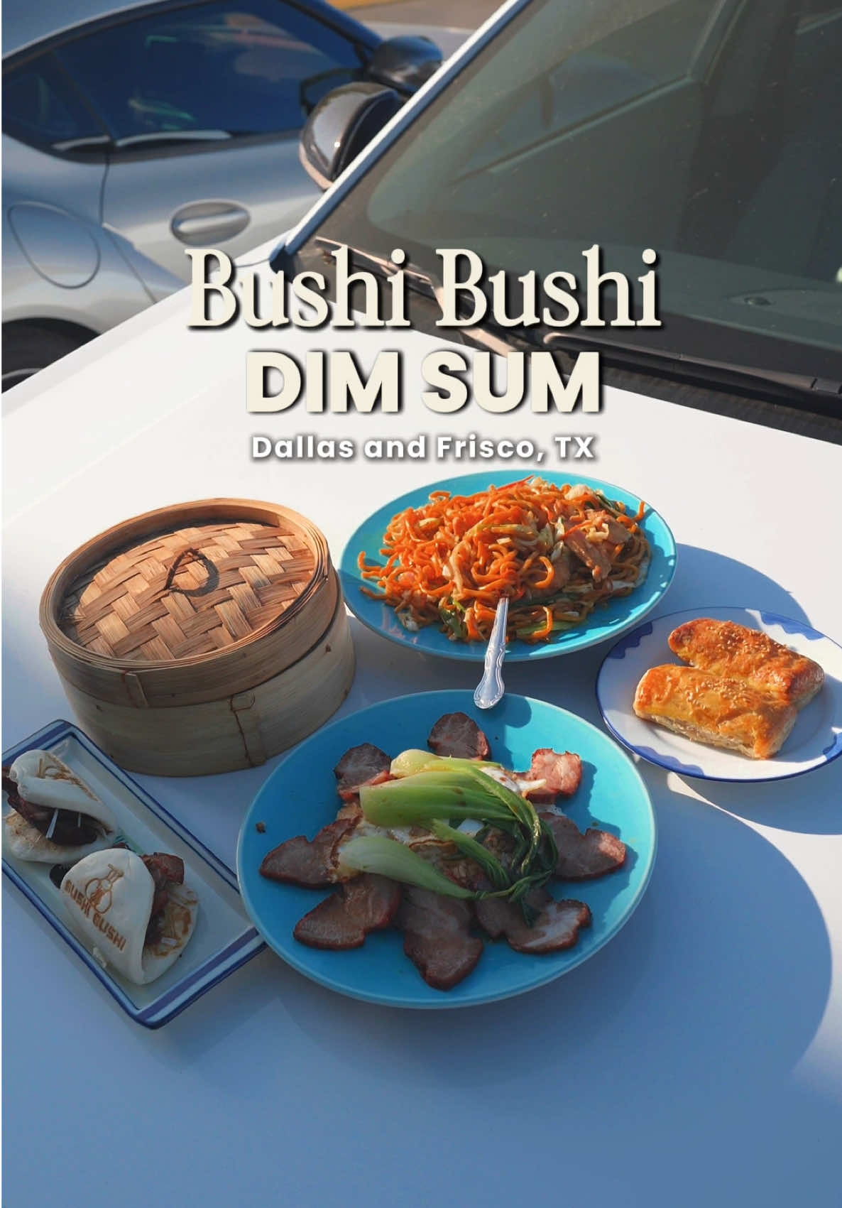 @bushibushi
