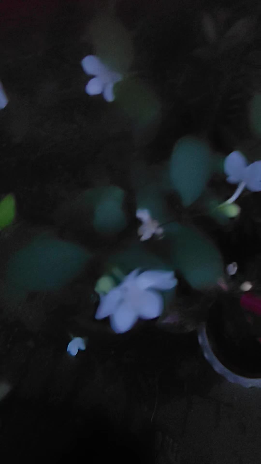 @EMREALD KHWAR NYO
