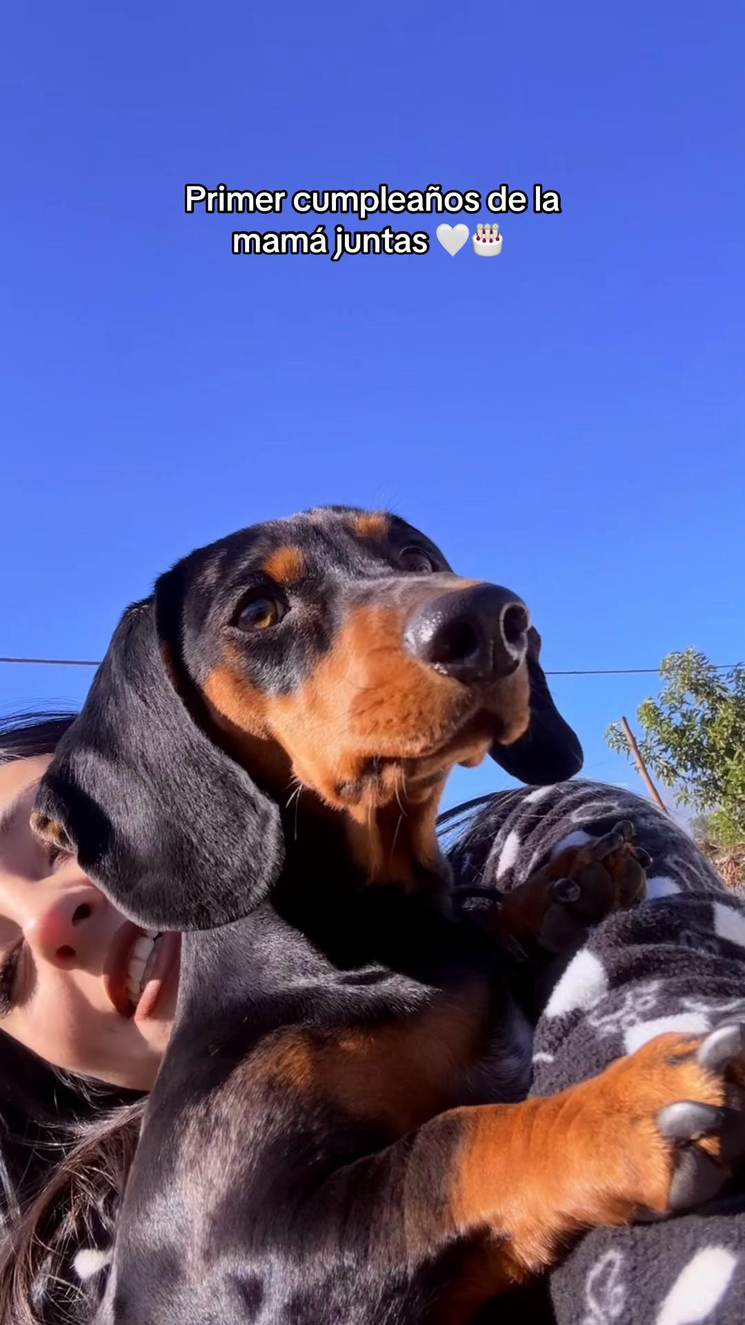 @𝑴𝒊𝒍𝒂 𝑴𝒊𝒍𝒂𝒏𝒆𝒔𝒂 🐾