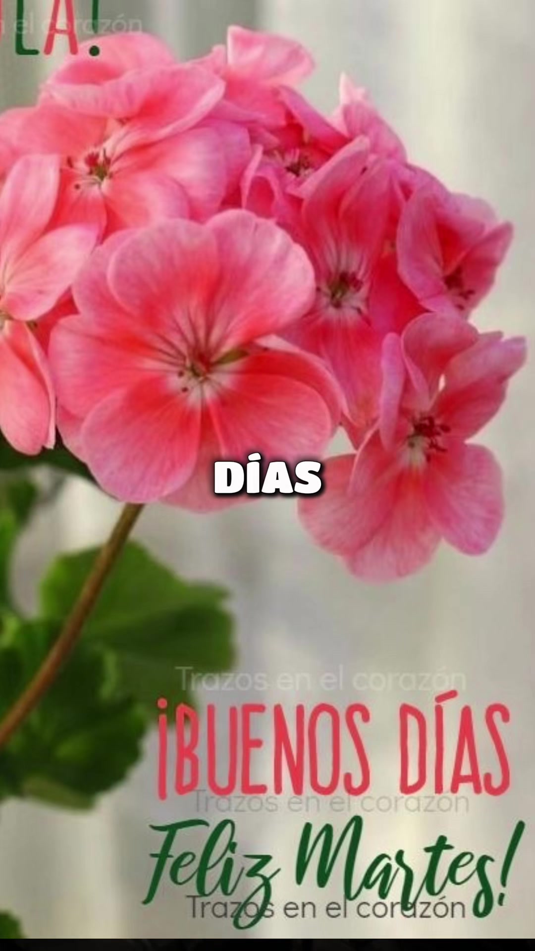 @Roxana