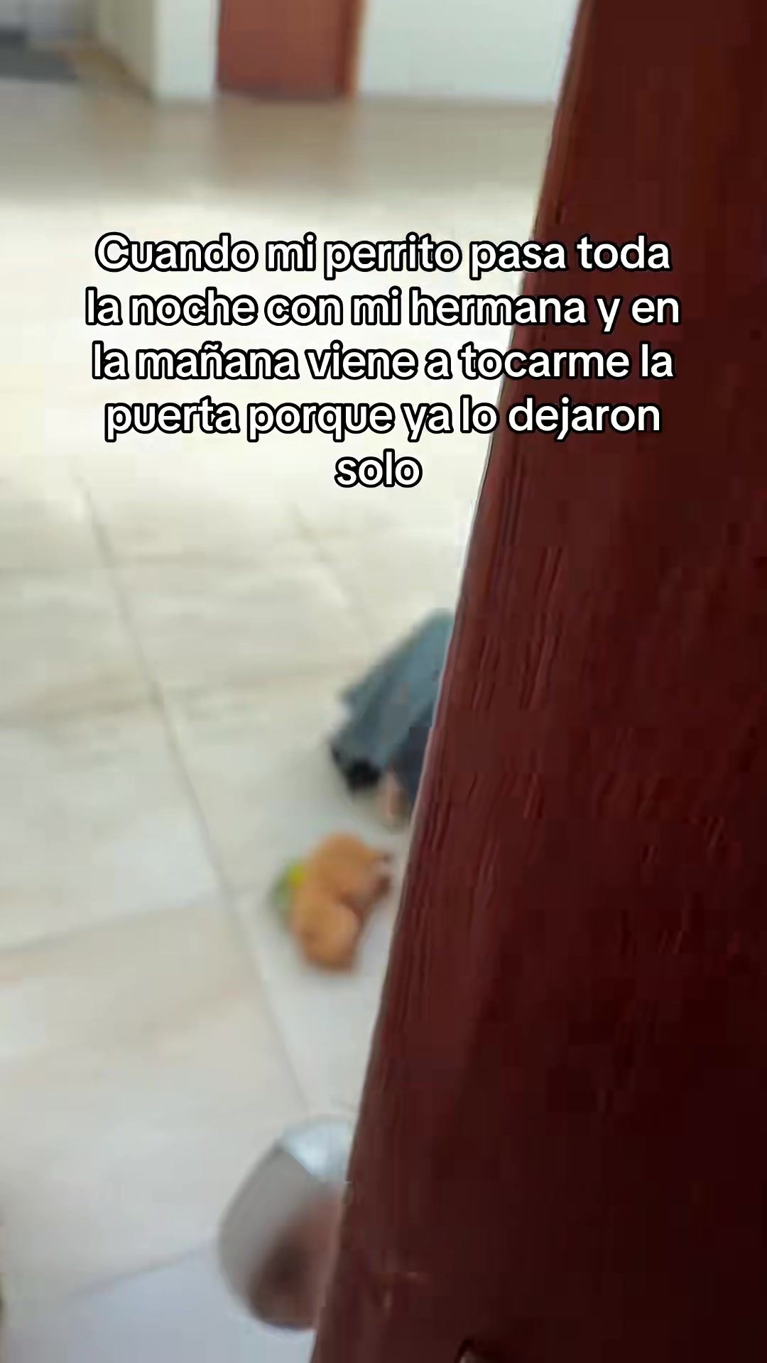 @Alexa&elcarnalchiss