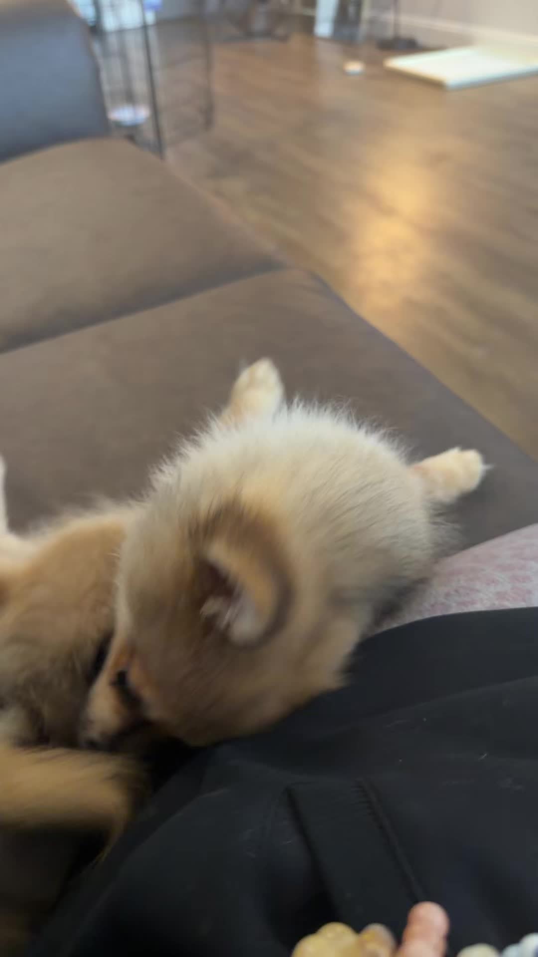 @benzoluv3r