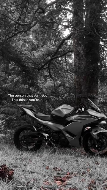 @2024Ninja 500