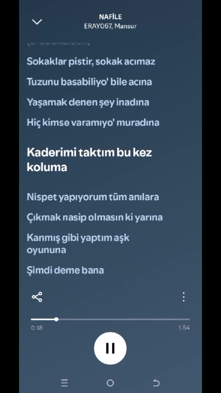 @pro müzik