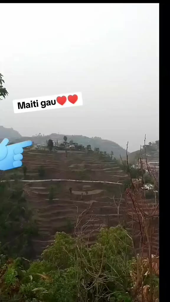 @sinjali durgi