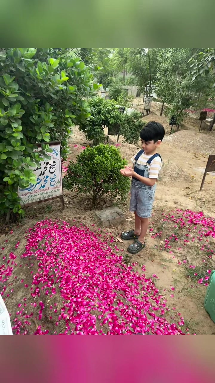 @SHEIKH BULAND JAMIL