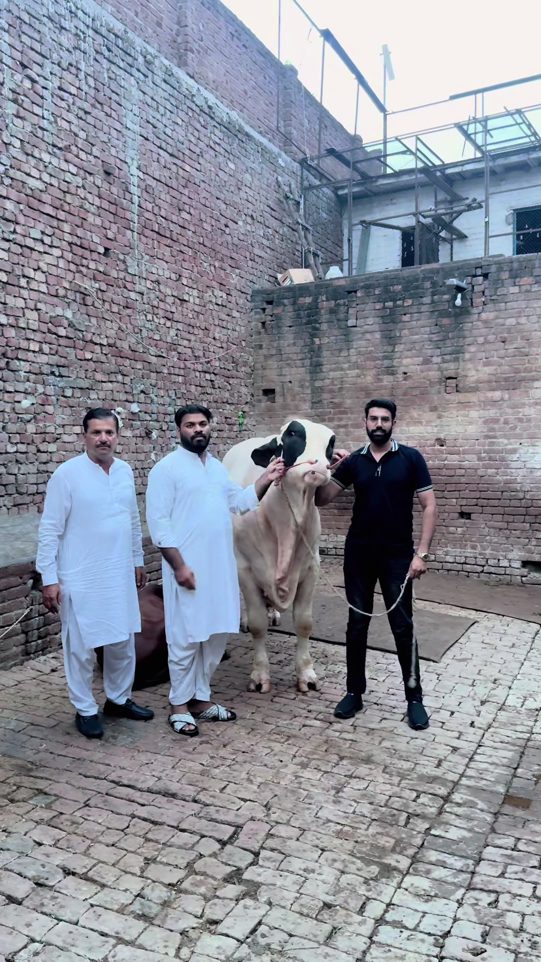 @UMAIR MUGHAL