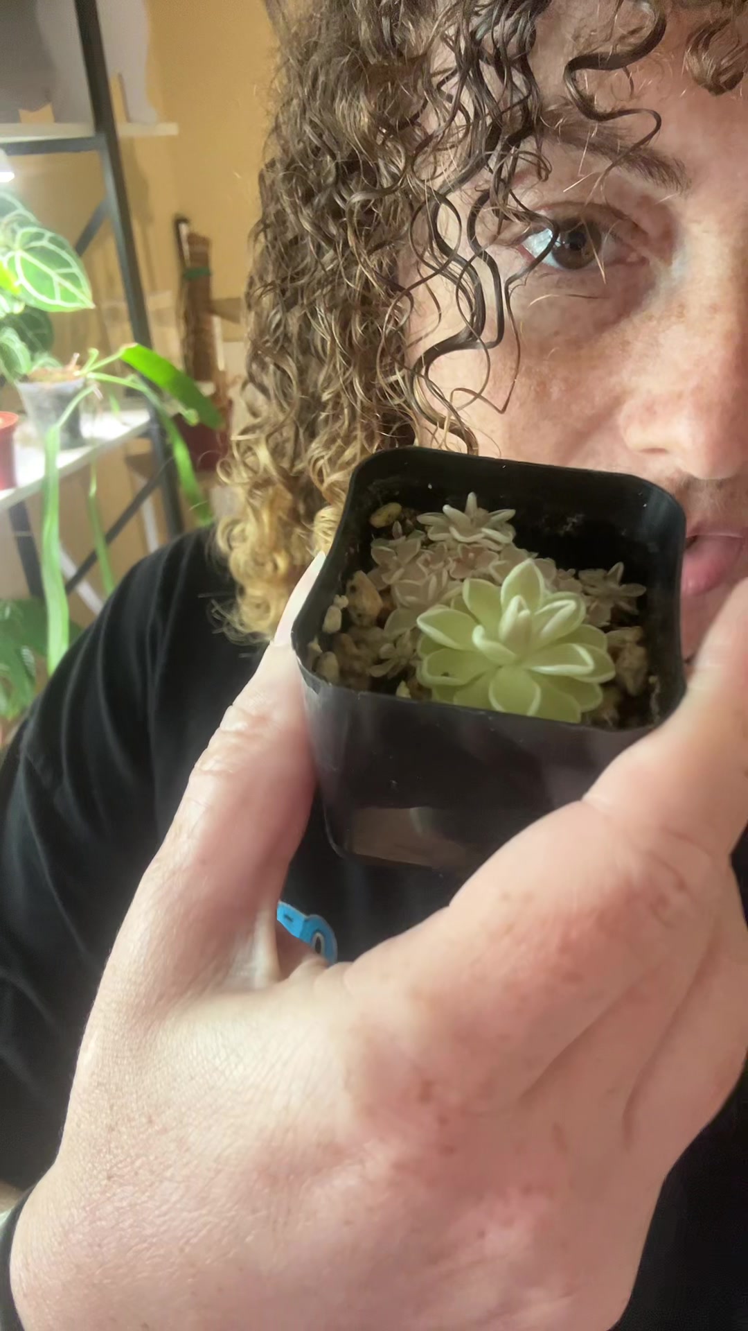 @plantparenthood93🪴🌿