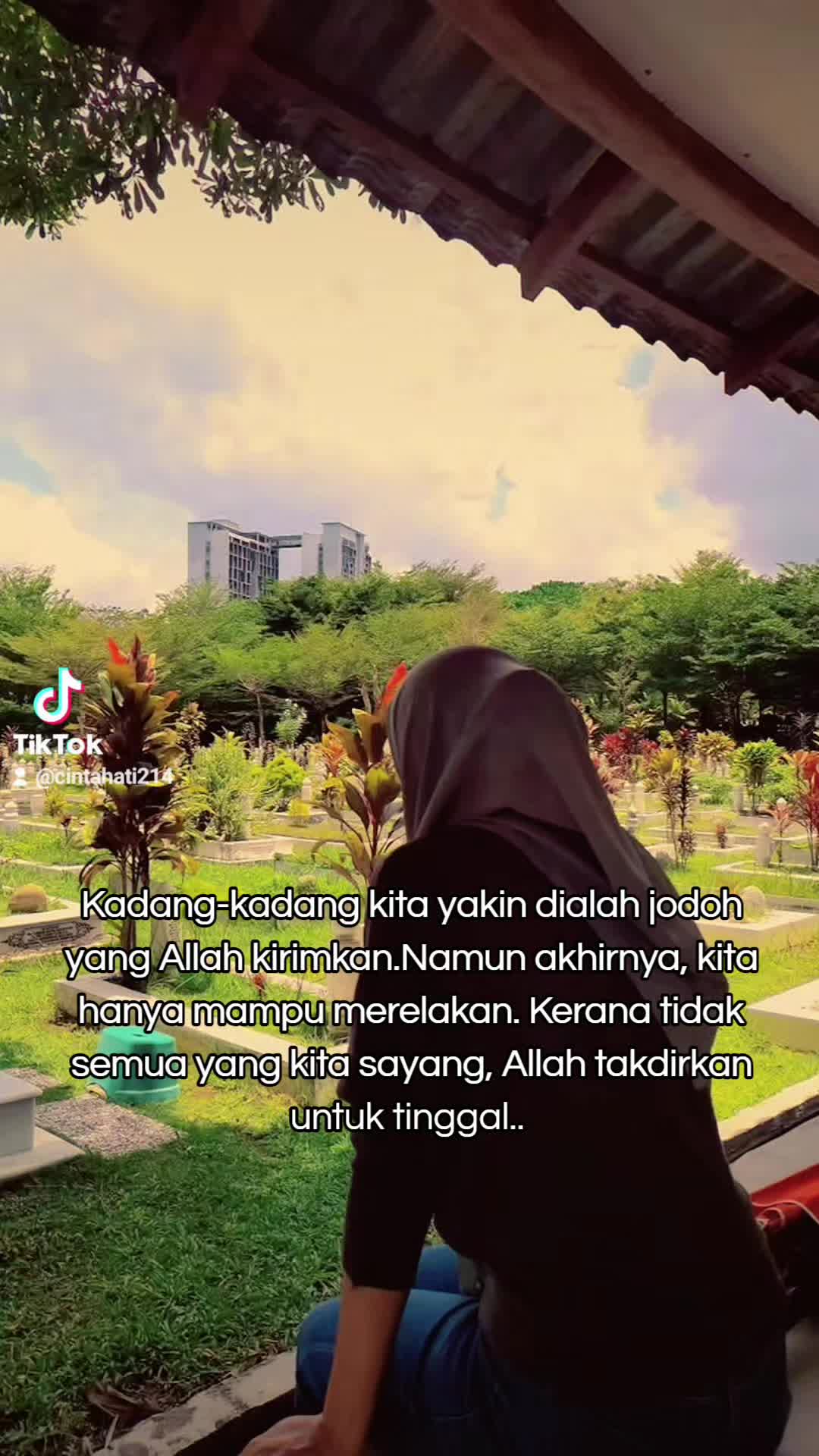 @camar_putih