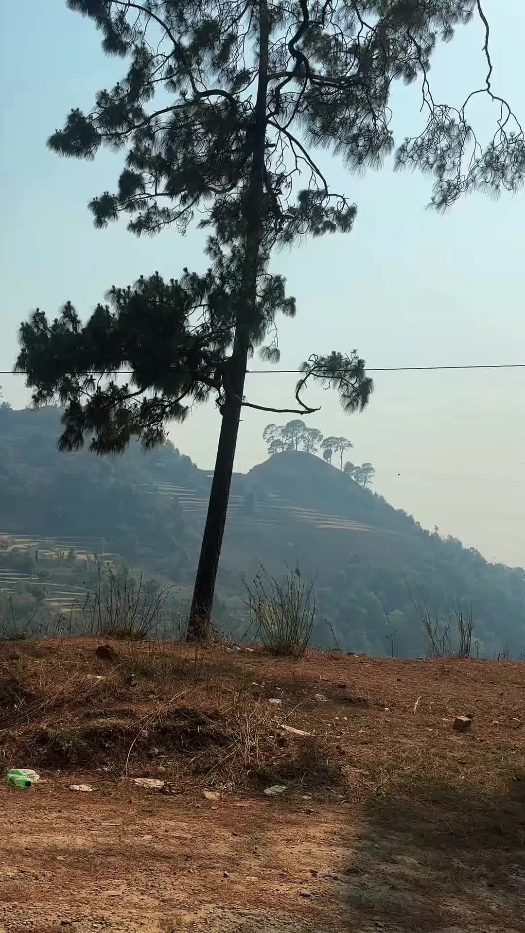 @Tara Vk_08💖