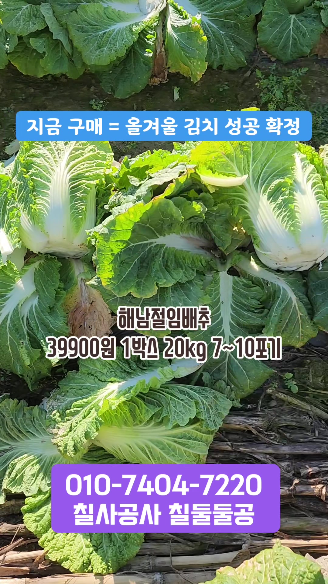 @먹거리 전도사