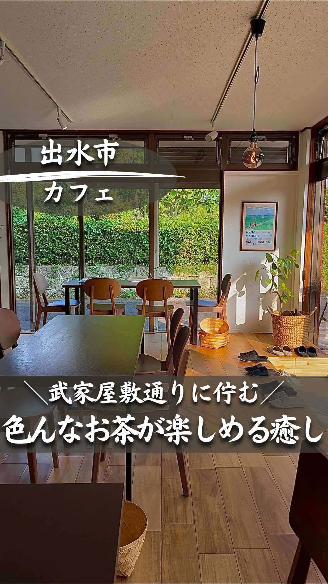 @ポポの休日🌿鹿児島&九州旅🐕