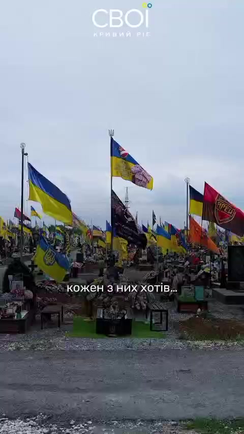 @𓆩ꨄ𓆪м.а.н.ю.н.я 𓆩ꨄ𓆪