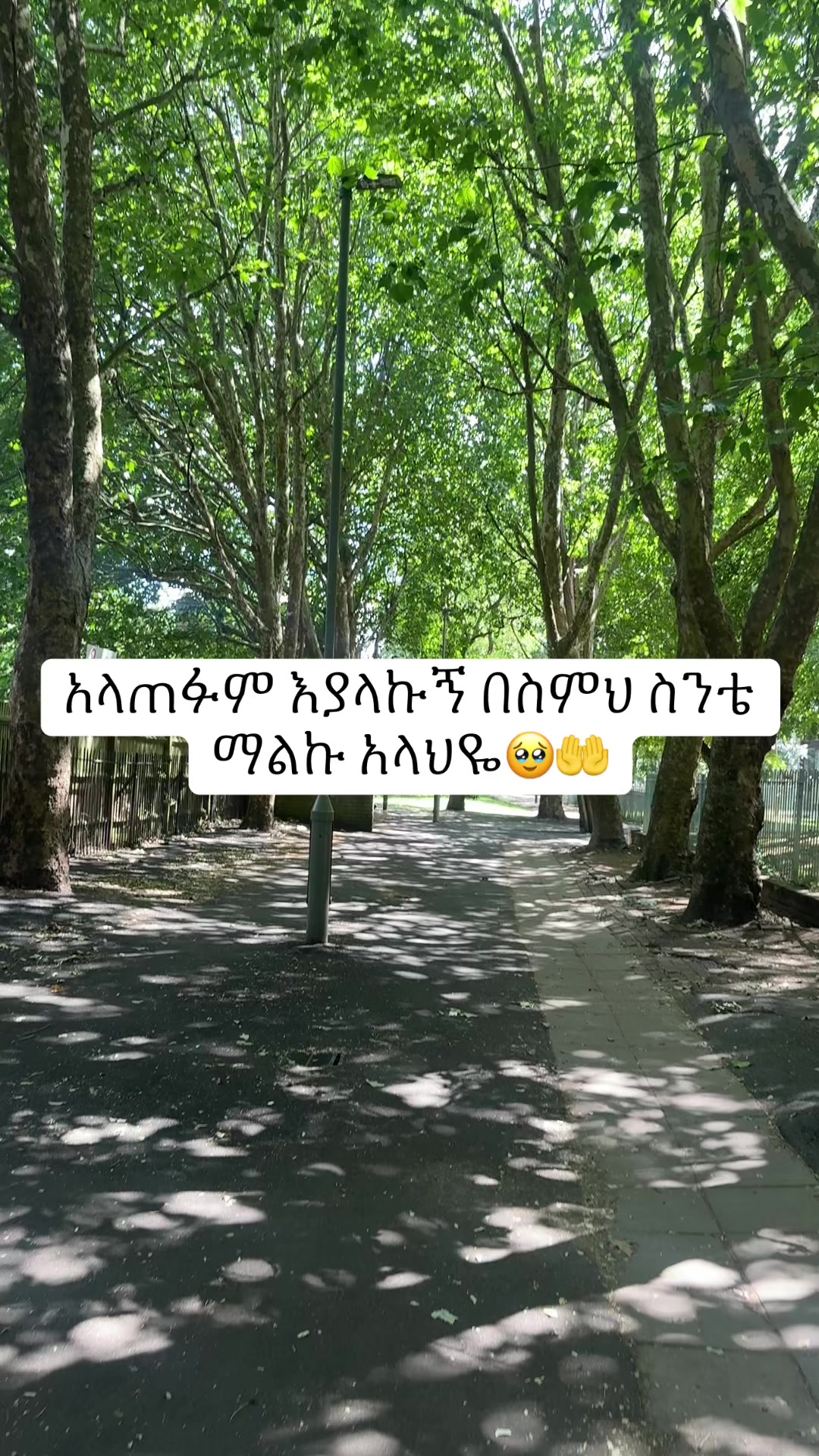 @joy Habeshawit🥀🥀🇪🇹🇬🇧🦋🦋
