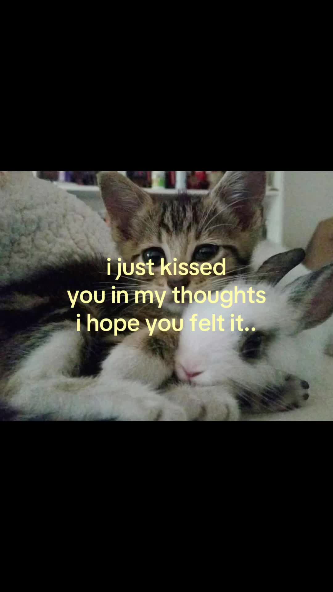 @rwnd