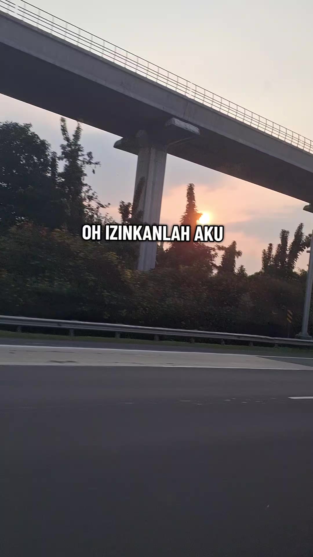 @cerel13shop