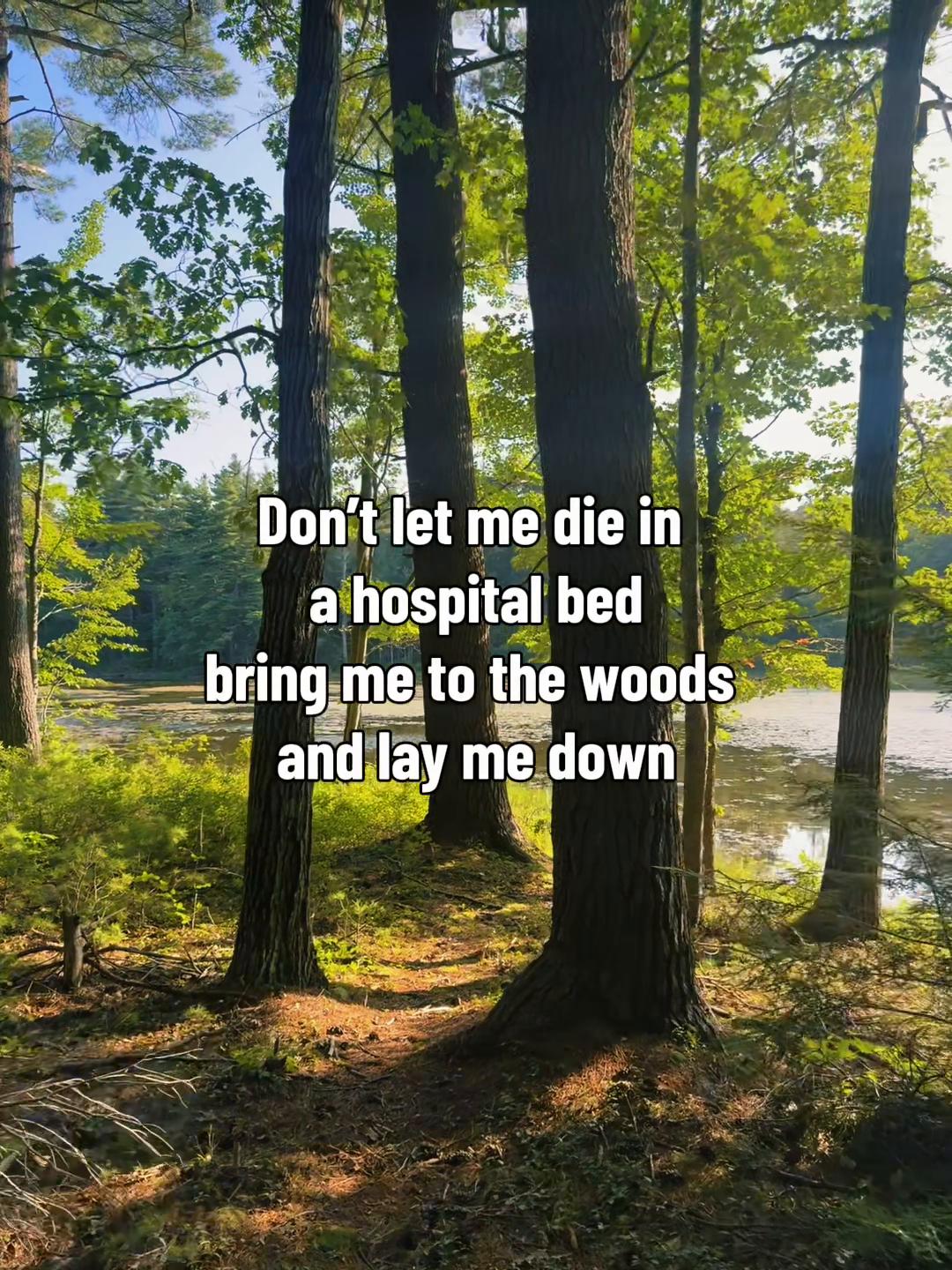 @ᚺᛖᚨᚦᛖᚾ(Heathen)