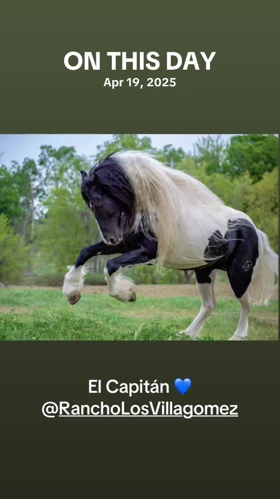 @Güera 👱♀️