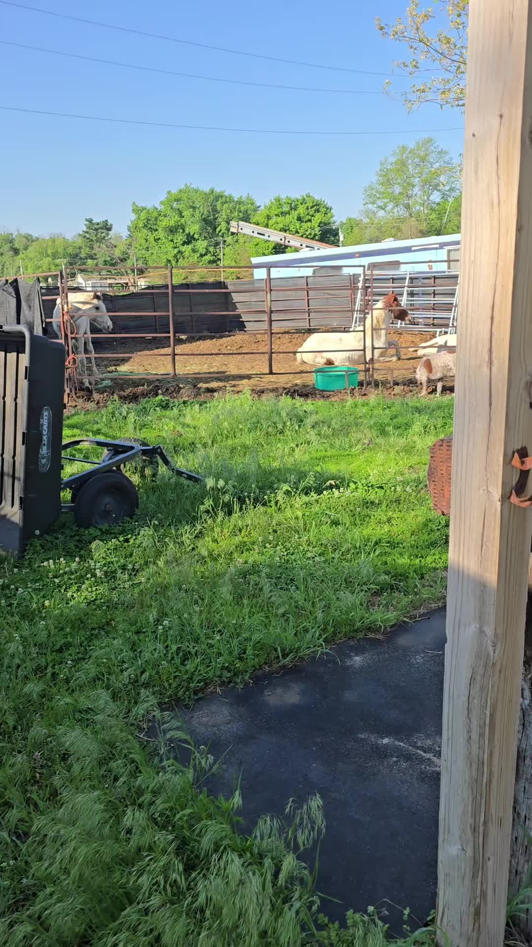 @Small Town Farm LLC