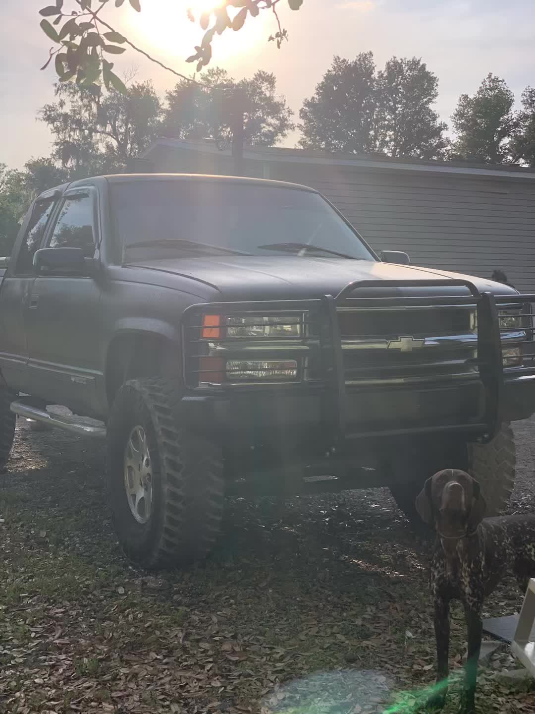 @Obs.Garnett 🦍🦍