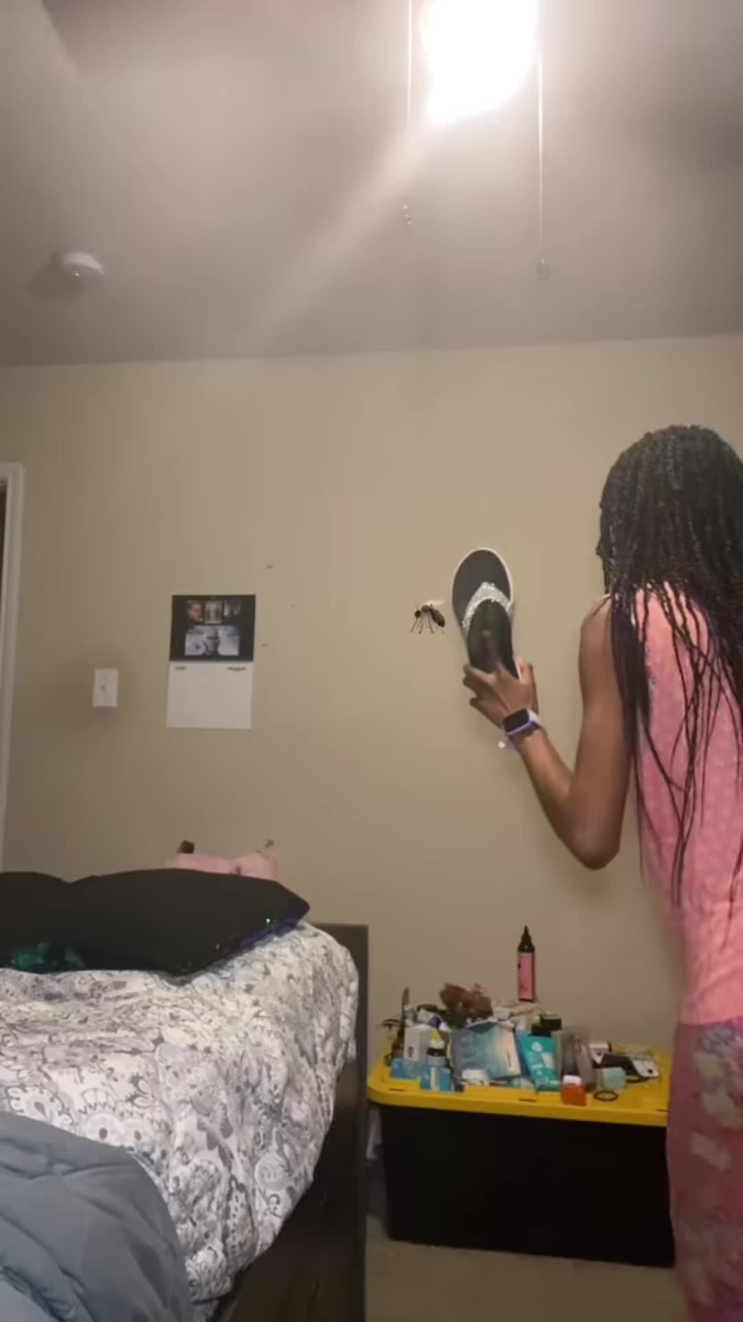 @Shayla